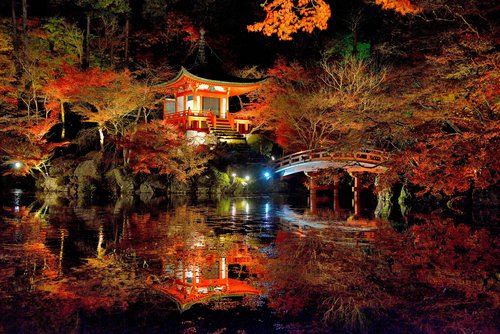 Япония, парк, ночь, пруд, мостик 2048px × 1367px