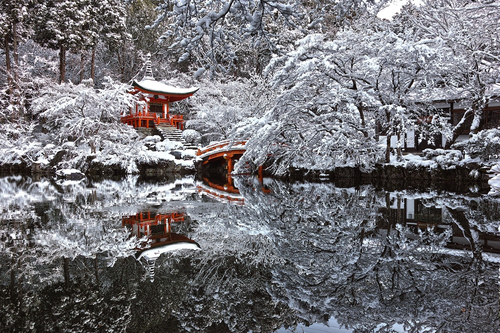 Япония, лес, зима 2000px × 1333px