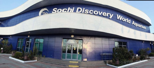 Sochi Discovery World Aquarium, Сочи